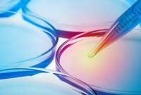 恭賀紹興暢達科技有限公司網(wǎng)站開通